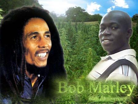 laye rasta vs bob